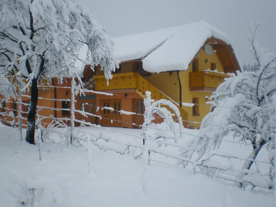 Apartment Beli Zajec Mozirje Esterno foto
